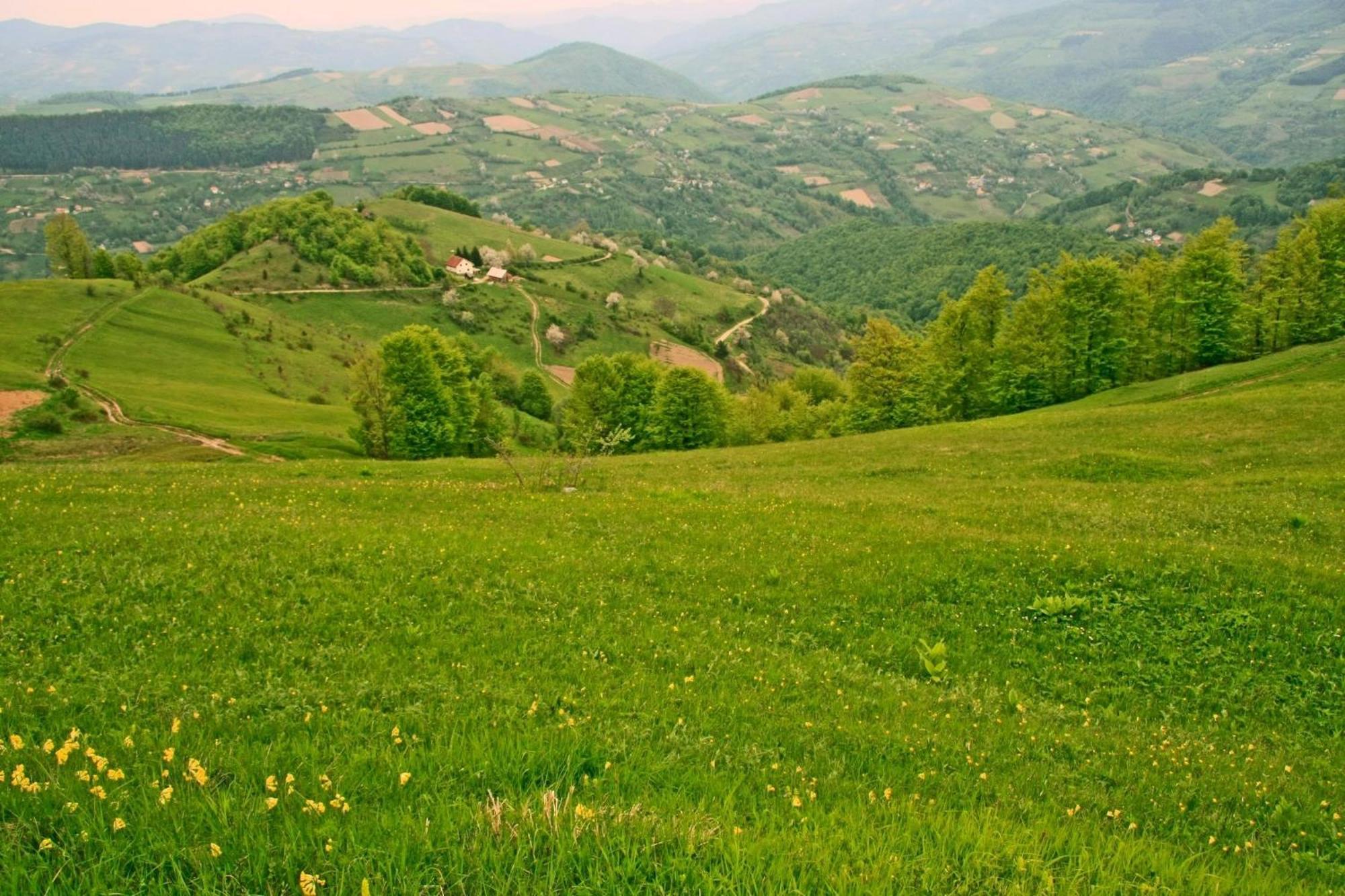 Hotel Javor Kusici Экстерьер фото